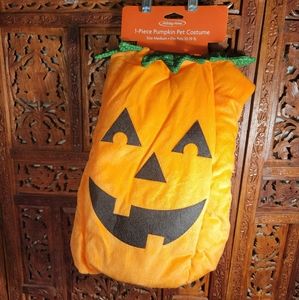 Pumpkin Jack-o-lantern Dog Costume with Hat, Size M